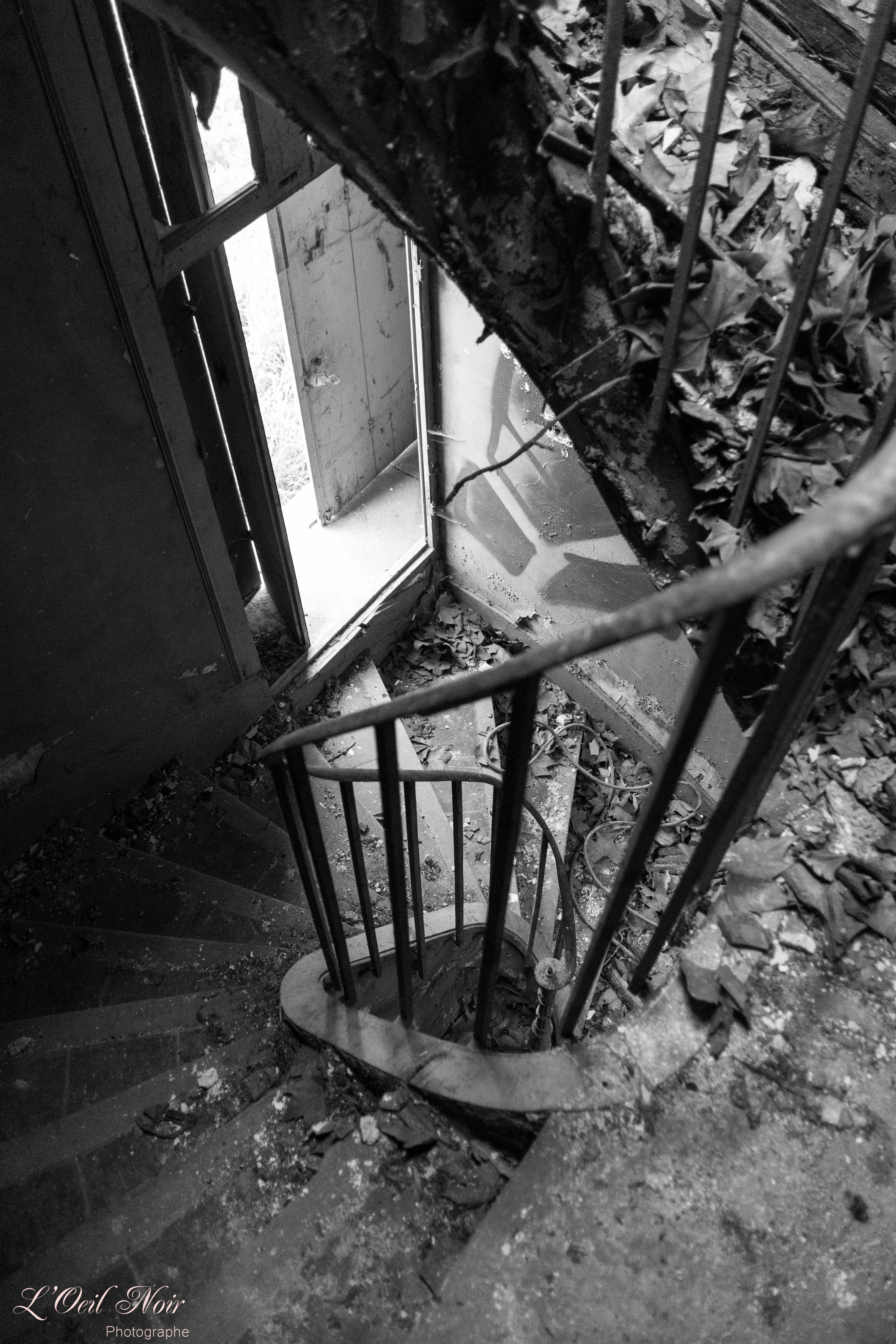 L' Oeil Noir Photographie